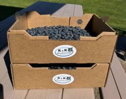 a plastic container of blueberries that says K and K blueberries on the front