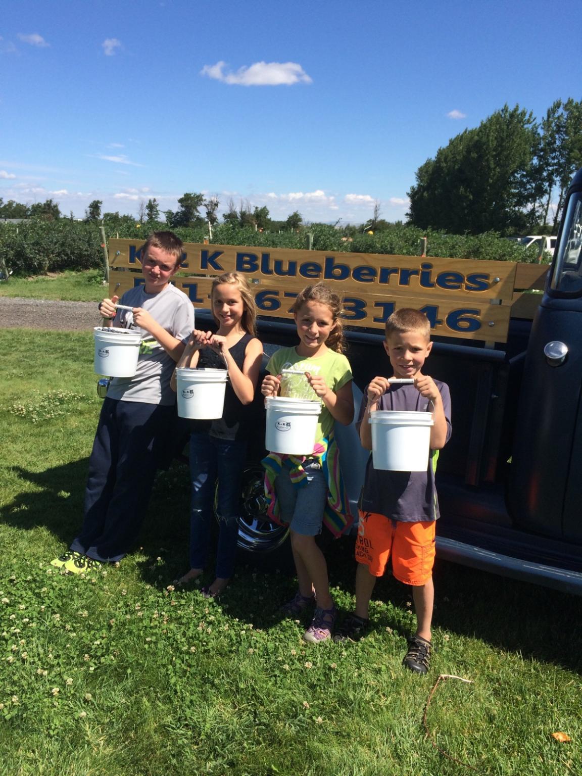 4 people hold buckets of blueberries in front of an old chevy pickup