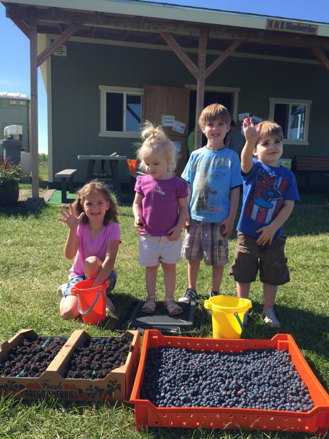 young children stand next to a tray of blueberries and black berries