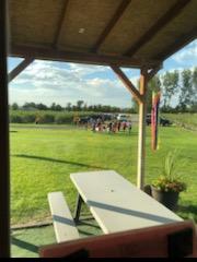 picnic table with people in the distance and rows of blueberries farther in the distance