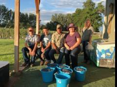 five people pose with large buckets of blueberries in front of them