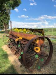 waggon wheel flower bed