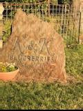 a rock engraved with K & K Blueberries
