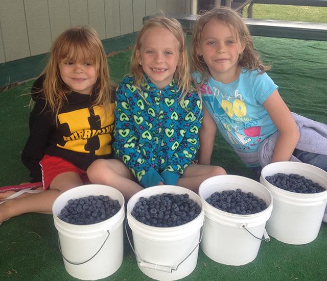 3 girls with bowls of blueberries