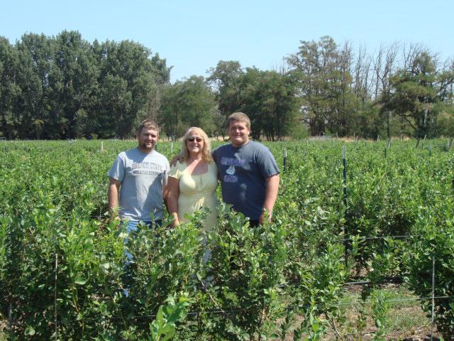 3 people stand in rows of blueberries