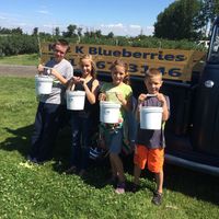 4 people hold buckets of blueberries in front of an old chevy pickup
