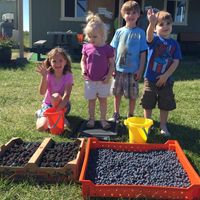 young children stand next to a tray of blueberries and black berries