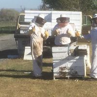 3 bee keepers each give two thumbs up to the camera