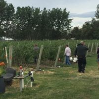 people carry empty buckets to their assigned rows