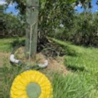an artificial sunflower sitting in front of a tree